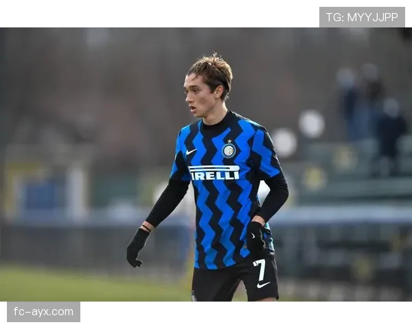 雷吉纳防守体系持续升级，助力球队竞争力稳步提升